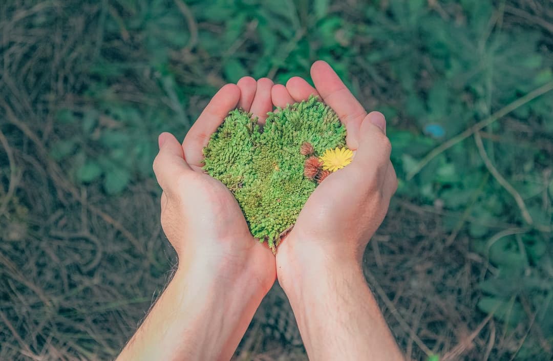 Sustainable Vision